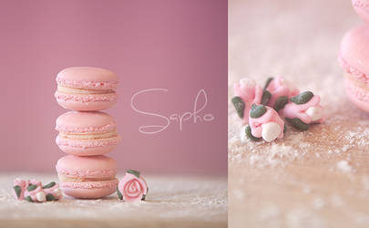macaroons :3 by SaphoPhotographics