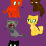 Cats the first five