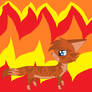 54. Flametail