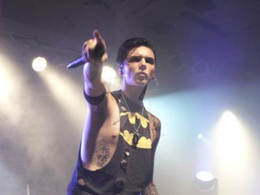 BVB Concertphotos Cologne 11/22/13 Andy