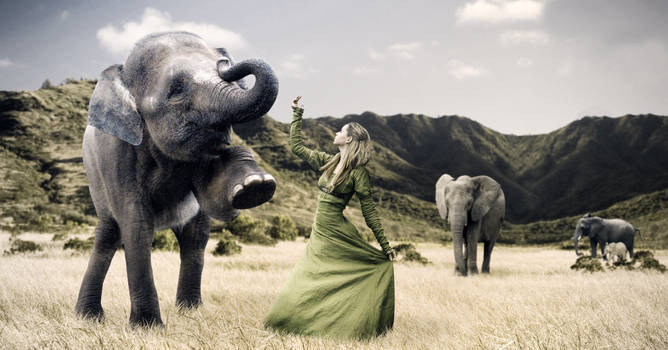 Elephant Trainer