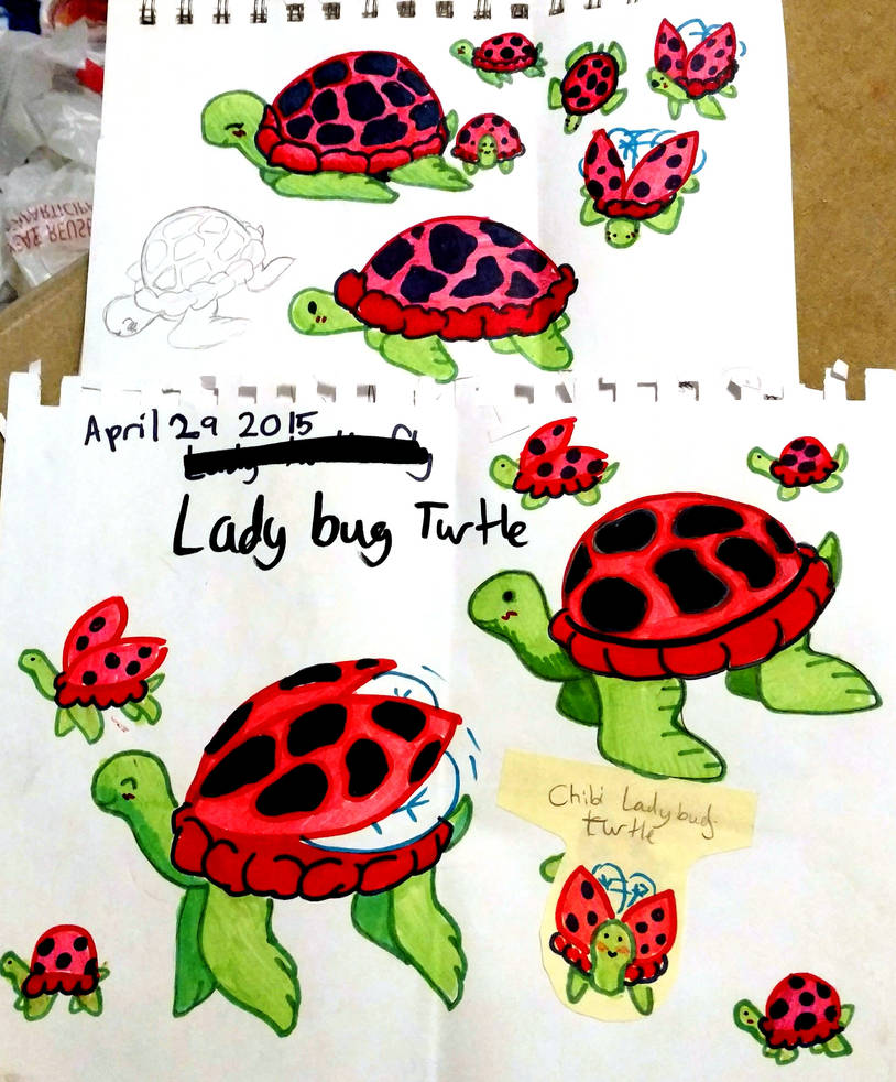 Turtle Ladybug LadyBug Turtle by girlygirltomboiX3 on DeviantArt
