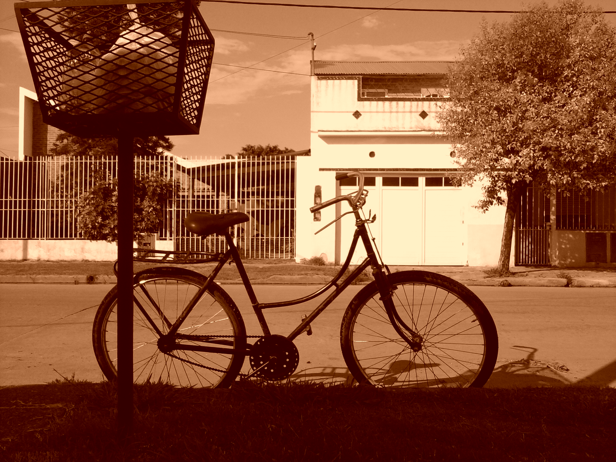 Bicicleta