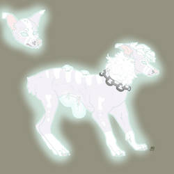 Ghost dog Custom