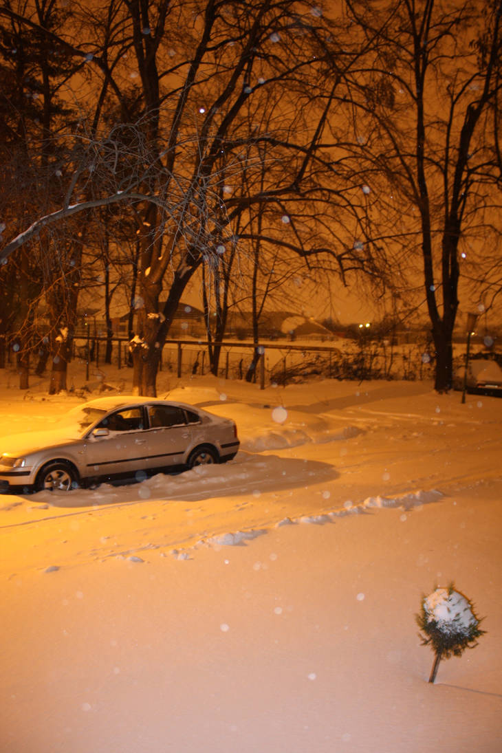 snowing by ovidoo on DeviantArt