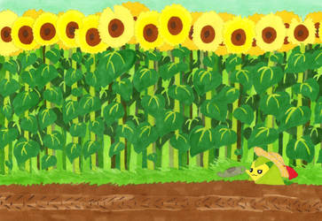 Suzie and the Sunflowers