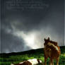 The Orphan