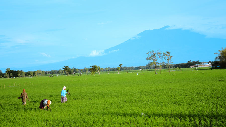 Indonesia