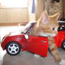 Kitty owns the car