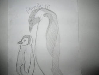 Penguin