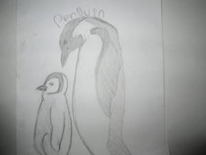 Penguin