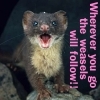 Icon: Attack Weasels 2