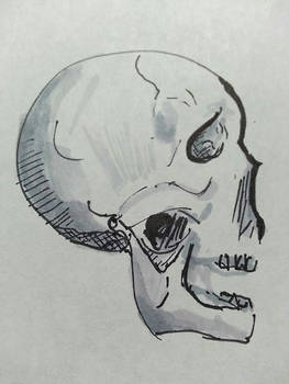 Skull