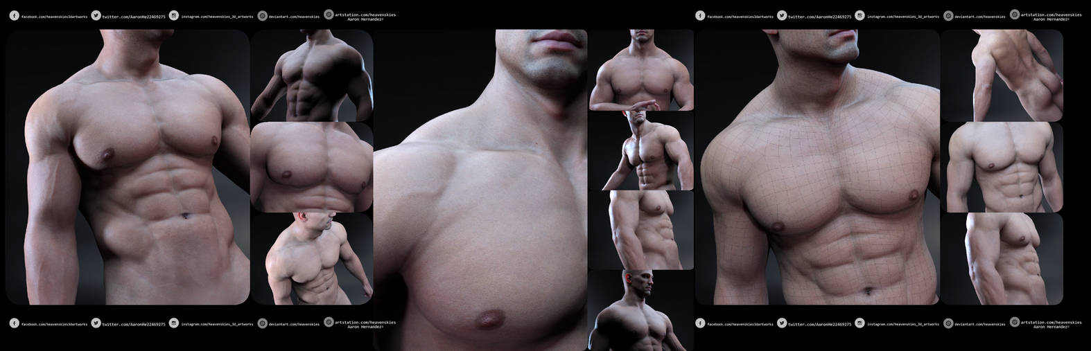 Upper torso male anatomy showcase