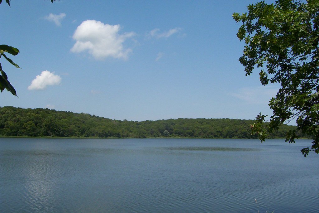 Lake View 3