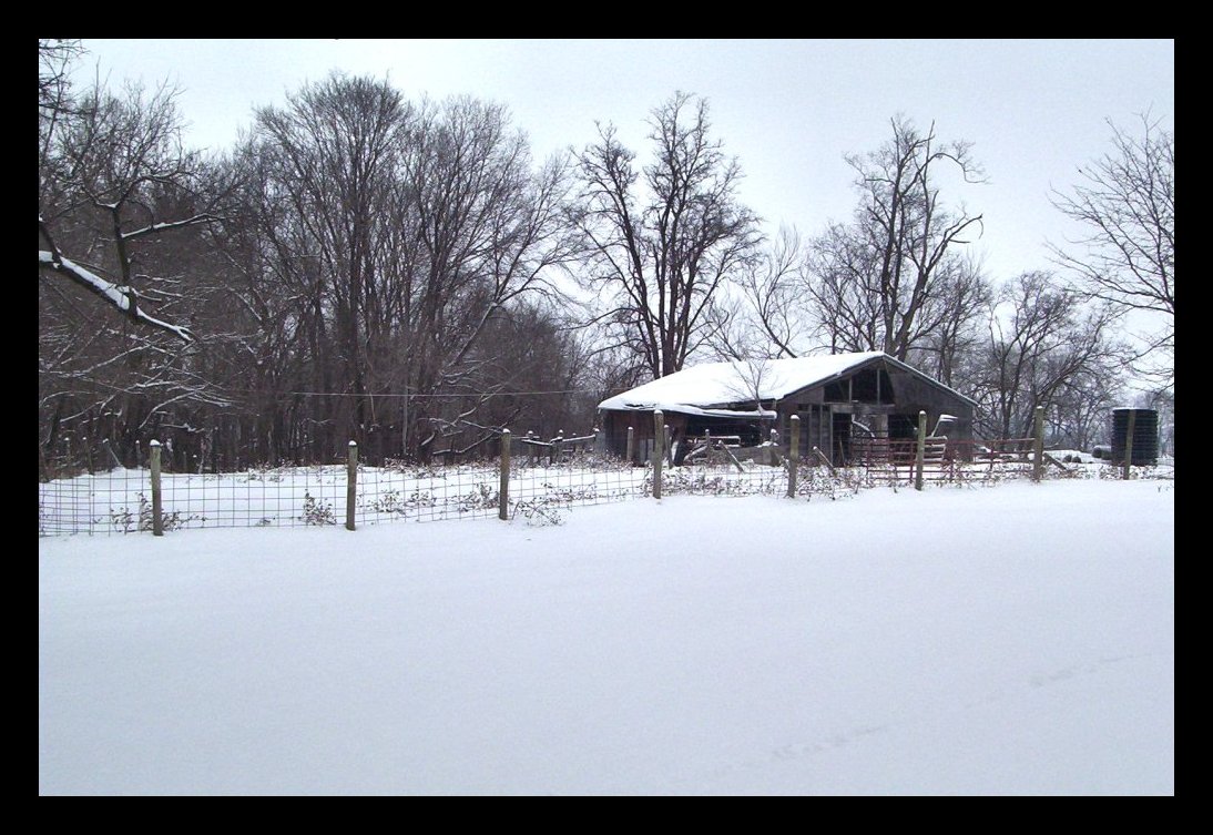 Old, Rotted Barn