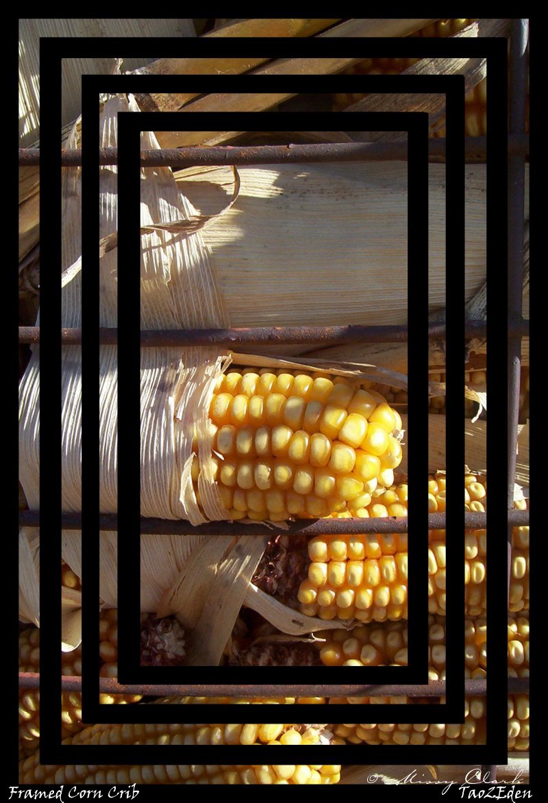 Framed Corn Crib