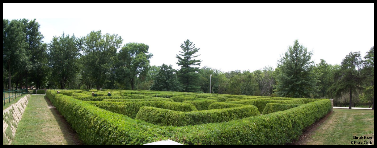 Shrub Maze