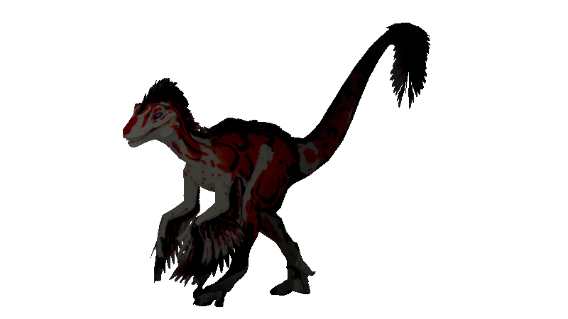 Zero the Raptor is back :O Walk Cycle by Zero-Sinitheria on DeviantArt