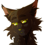 Hollyleaf