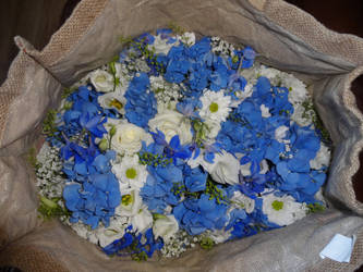 A bag full of flowers