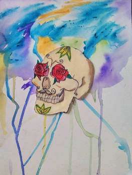 water color skull