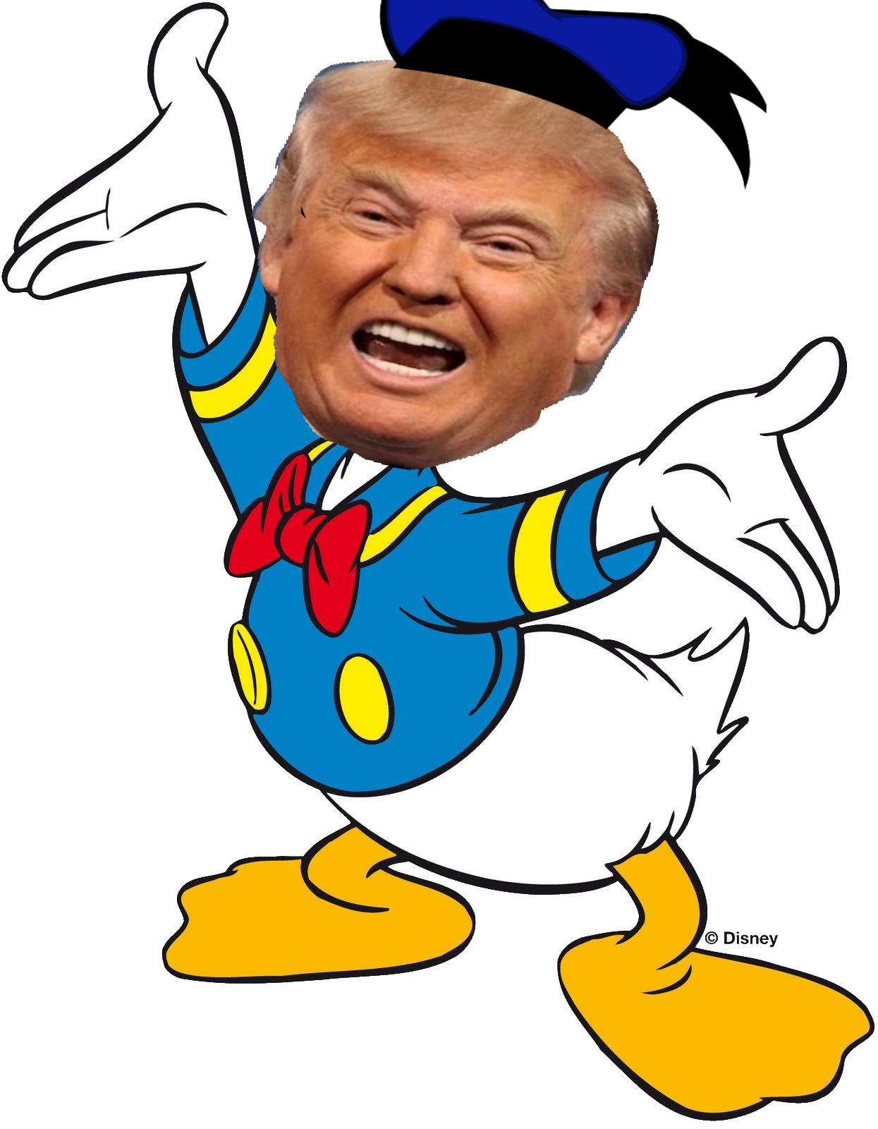 Donald (Trump) Duck