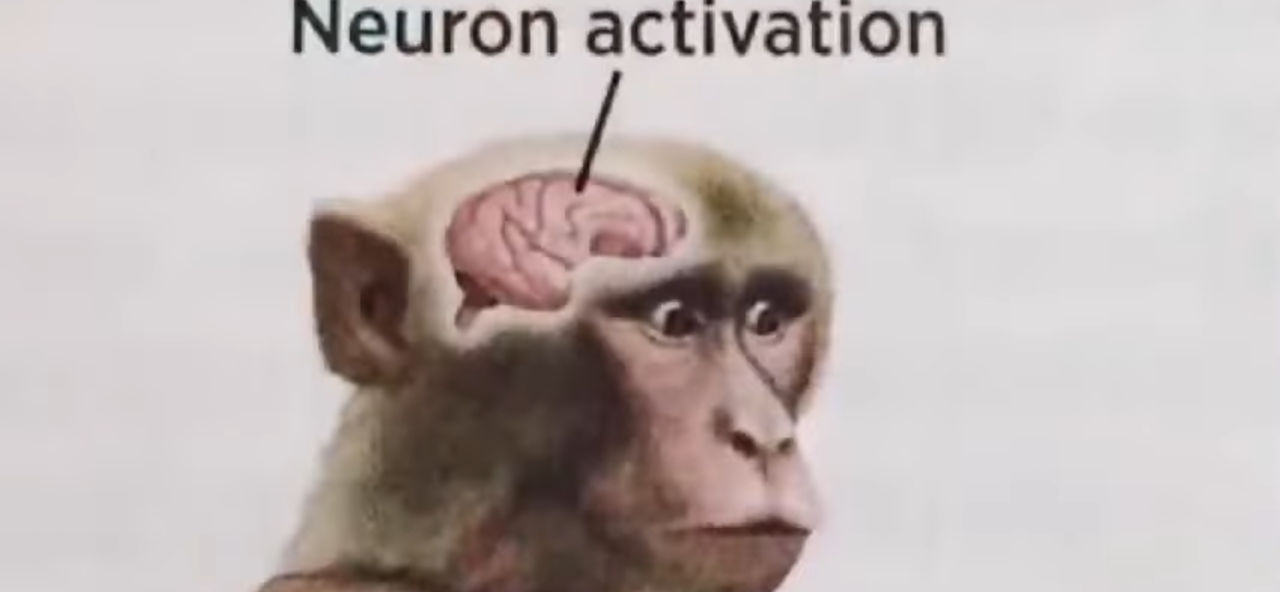 Neuron Activation By PipeBomb19 On DeviantArt neuron-activation-by-pipebomb19-on-deviantart