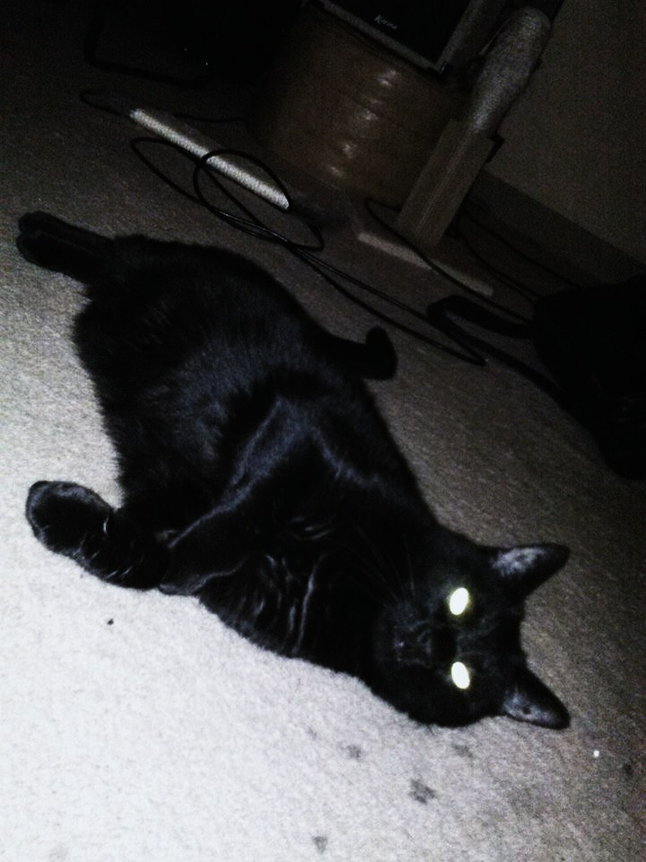 salem bby