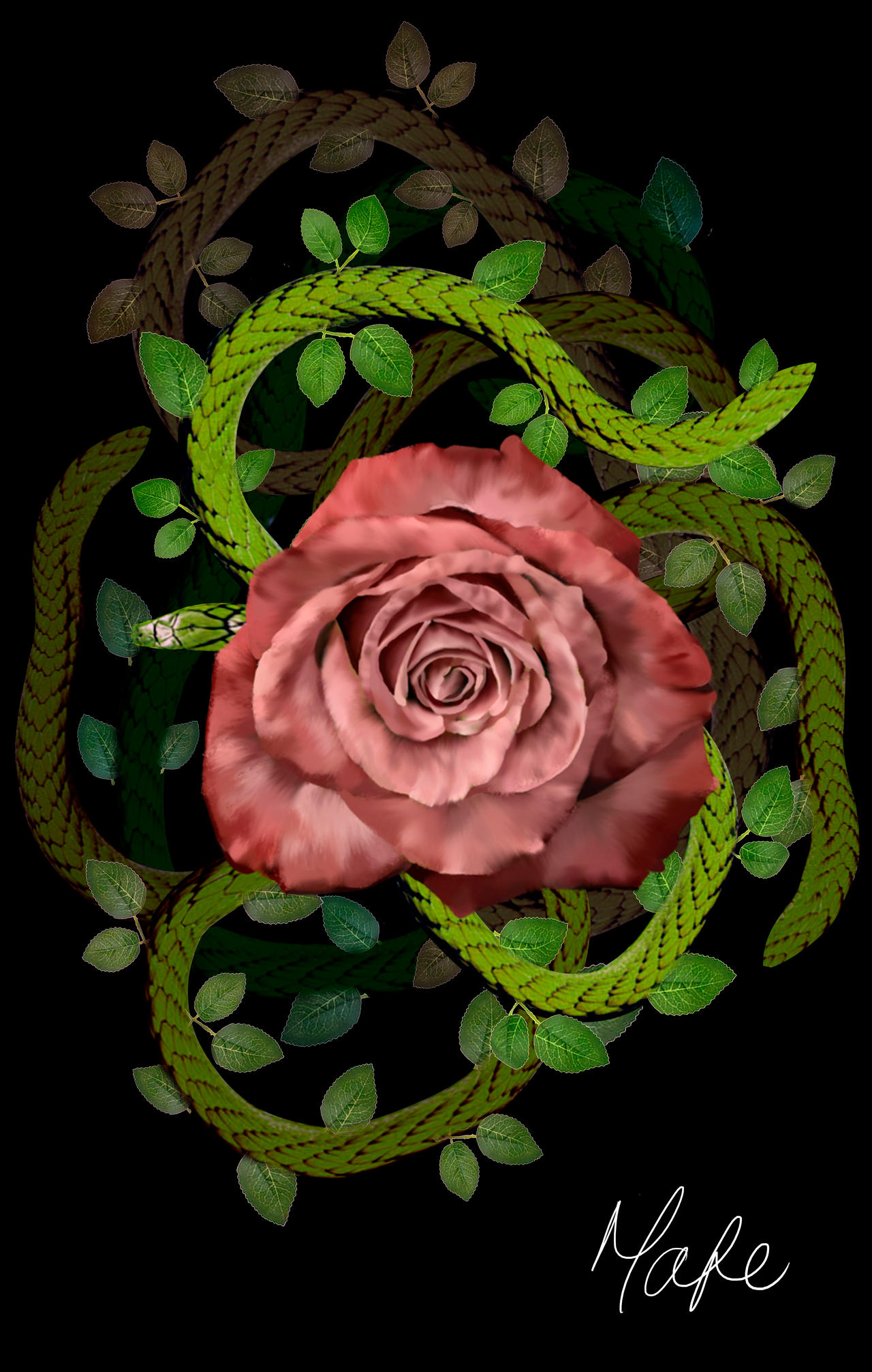 Rose and Snakes (black) by mfibarajas on DeviantArt