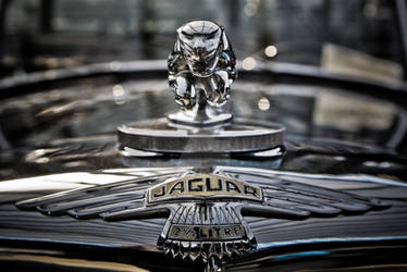 Jaguar