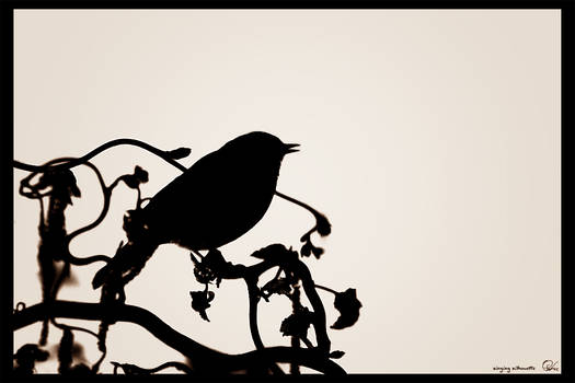 singing silhouette 2