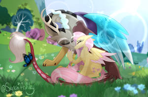 Fluttercord