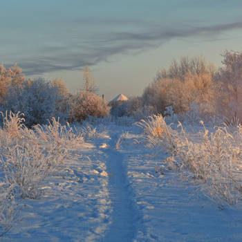 Frosty day