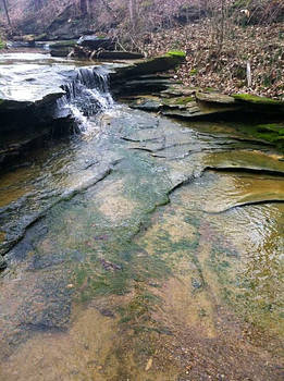 Green Water