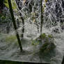 Spider web 3