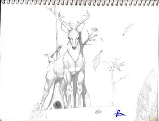 the deer