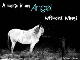 Angel without wings..