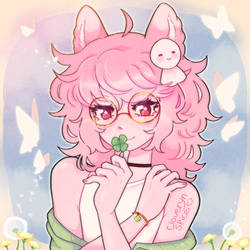 Clover Spice Dtiys