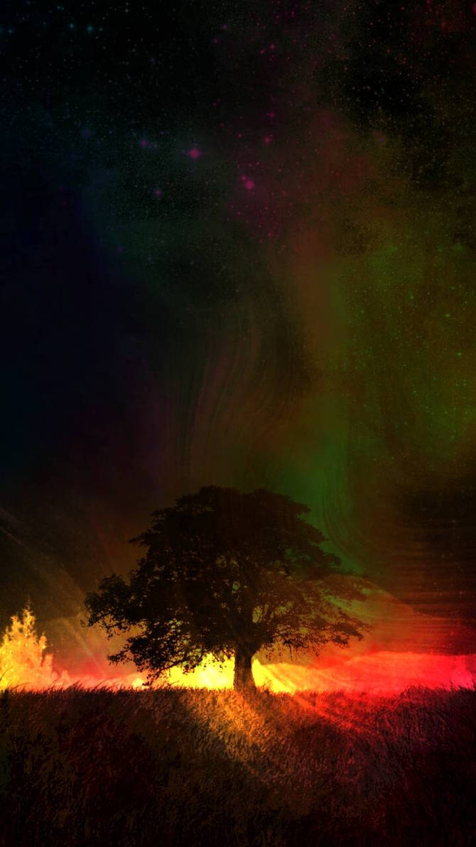 Magical Tree #2 by TheMTgallery on DeviantArt