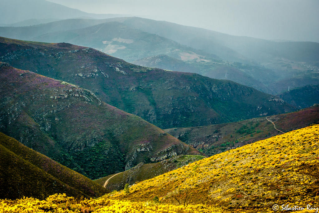 Larouco by OCelta on DeviantArt