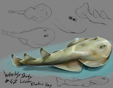 Explore the Best Lesserelectricray Art | DeviantArt