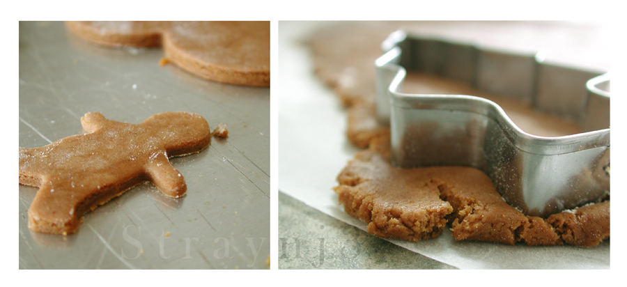 Making Gingerbread