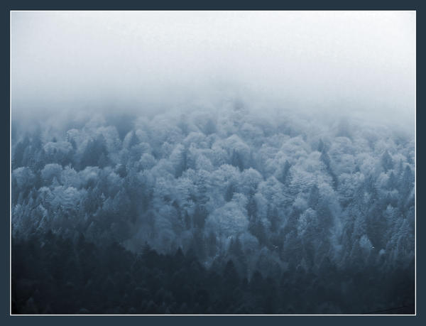 gradation by uncolored-butterfly on DeviantArt