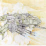 Halo Wars UNSC Hawk Desert