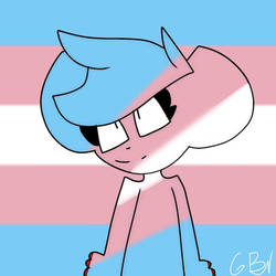 Trans flag