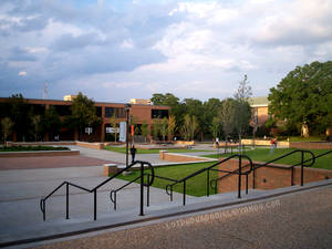 shsu61