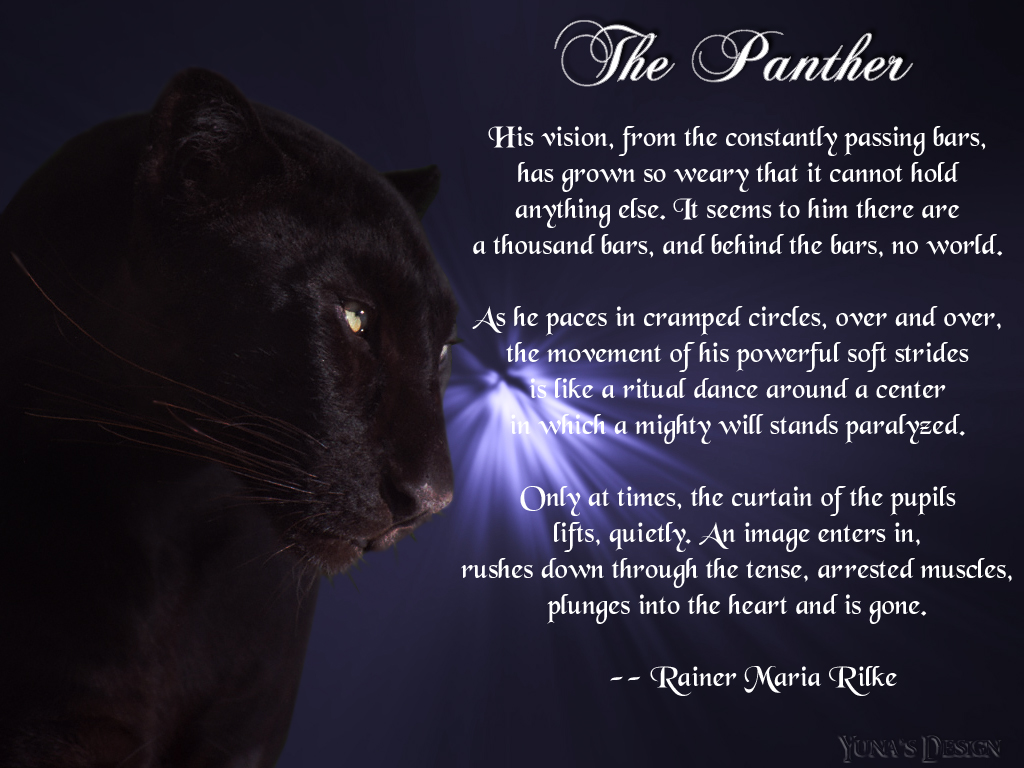 The Panther