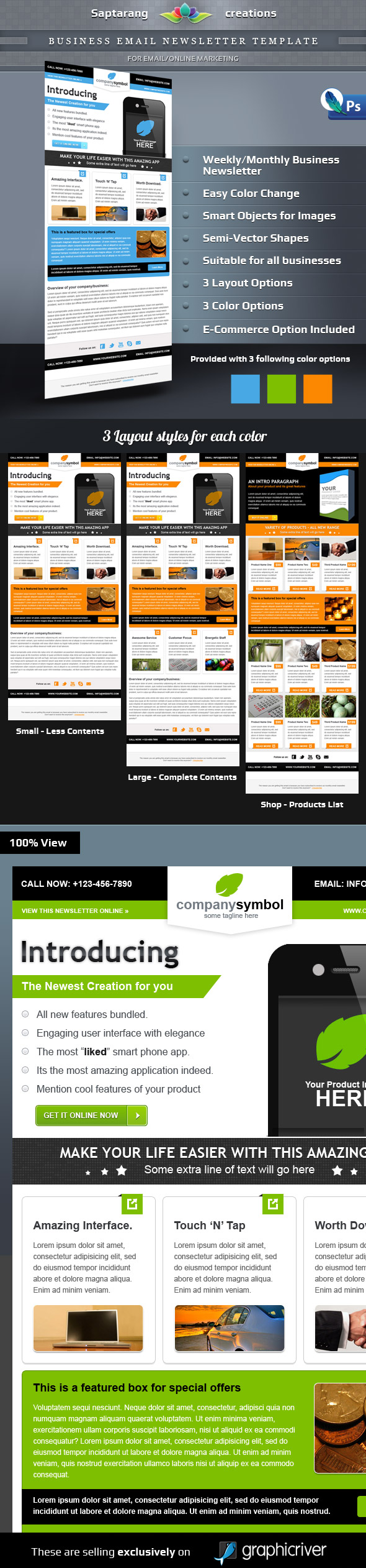 Business Email Newsletter Template