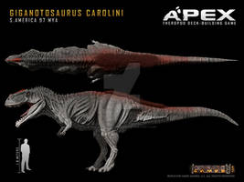 Giganotosaurus Carolini